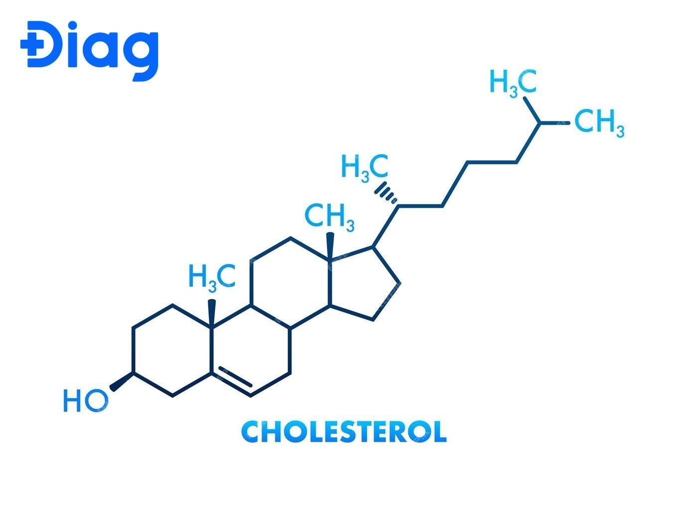Công thức cấu tạo của cholesterol gồm khung steroid, nhóm hydroxyl (-OH) và Chuỗi nhánh hydrocarbon.