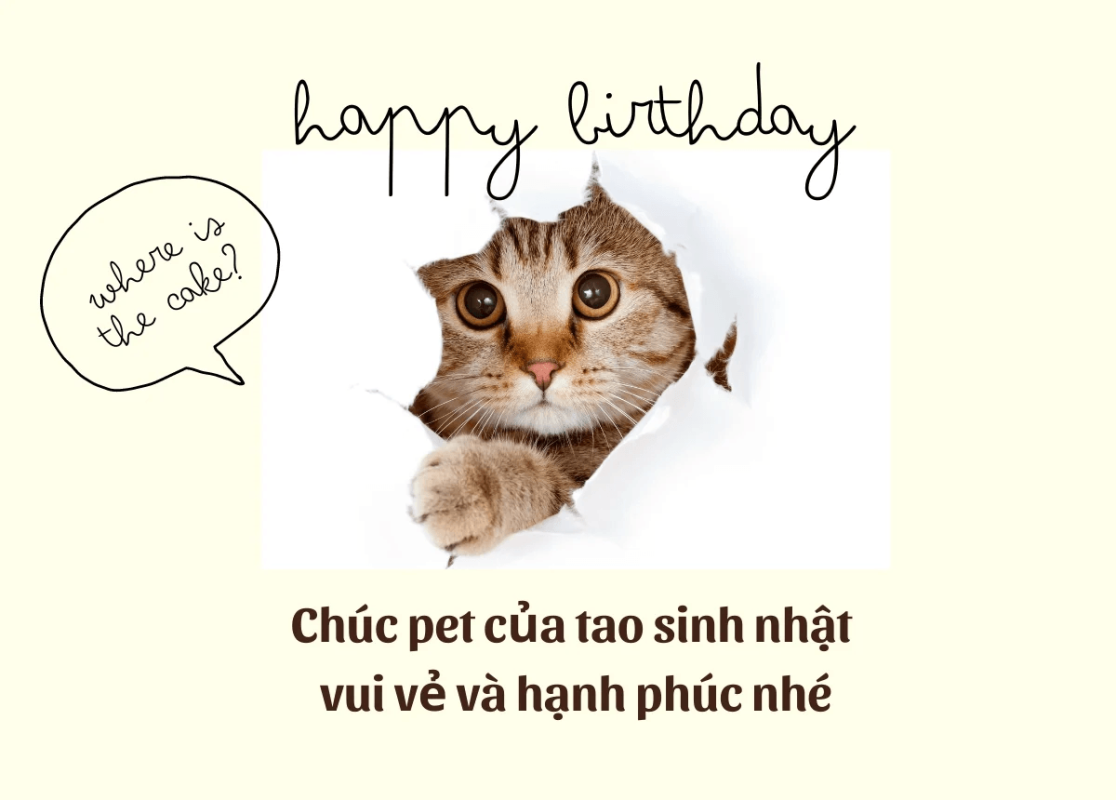 1001 Lời Chúc Sinh Nhật Bạn Ngắn Gọn, Ý Nghĩa, Hài Hước