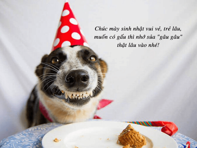 lời chúc sinh nhật bạn