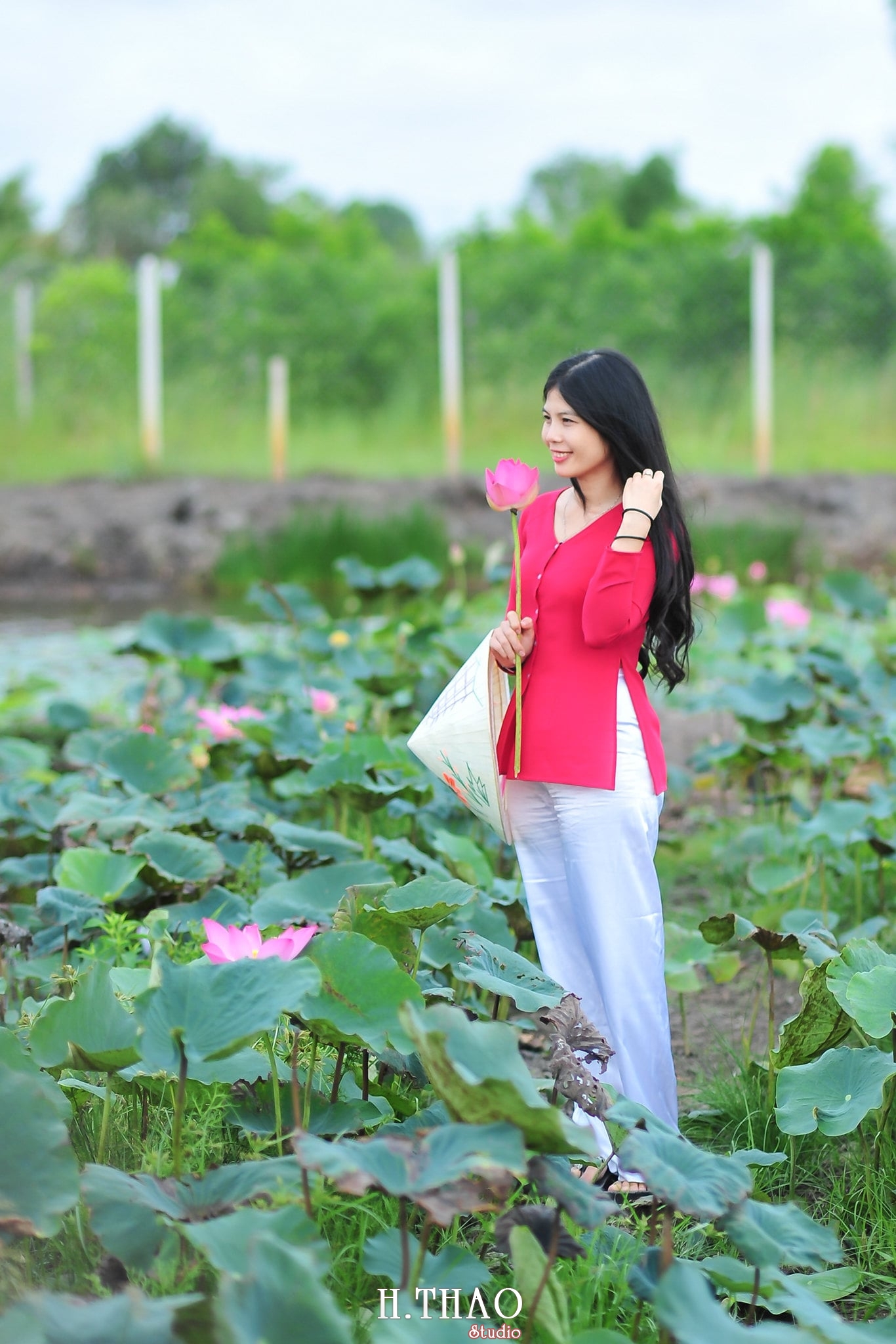 Hoa sen 4 - Tháng 6, chụp hình với hoa sen tại Tam đa quận 9 - Tp.HCM