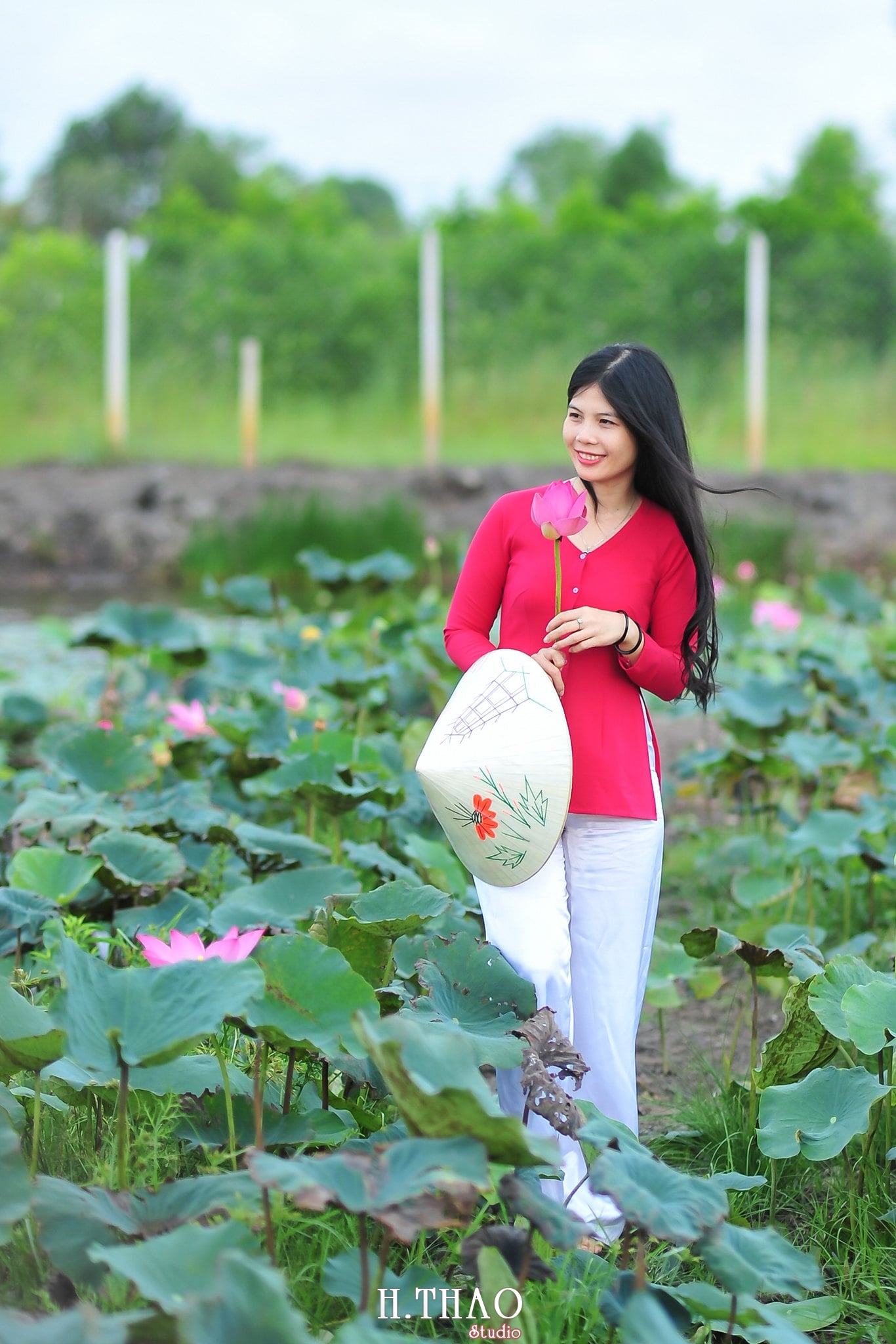 Hoa sen 2 - Tháng 6, chụp hình với hoa sen tại Tam đa quận 9 - Tp.HCM