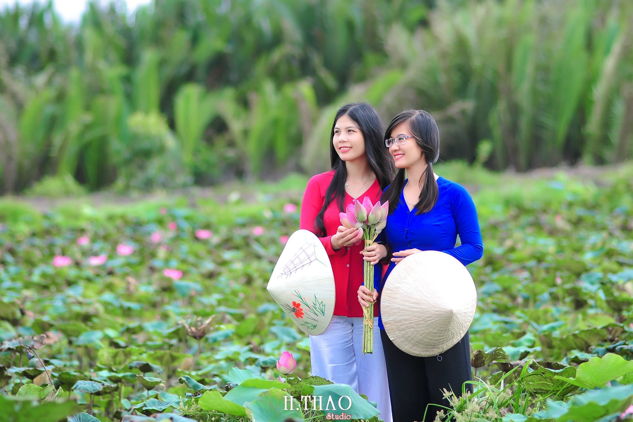 Hoa sen 1 - Tháng 6, chụp hình với hoa sen tại Tam đa quận 9 - Tp.HCM