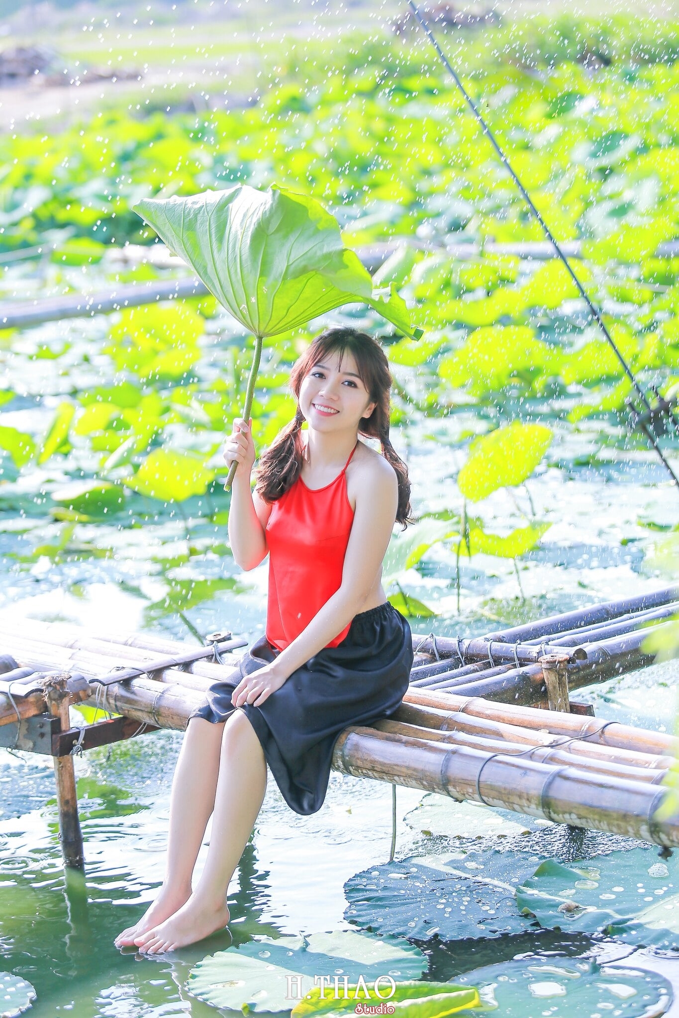 Hoa sen 13 - Tháng 6, chụp hình với hoa sen tại Tam đa quận 9 - Tp.HCM