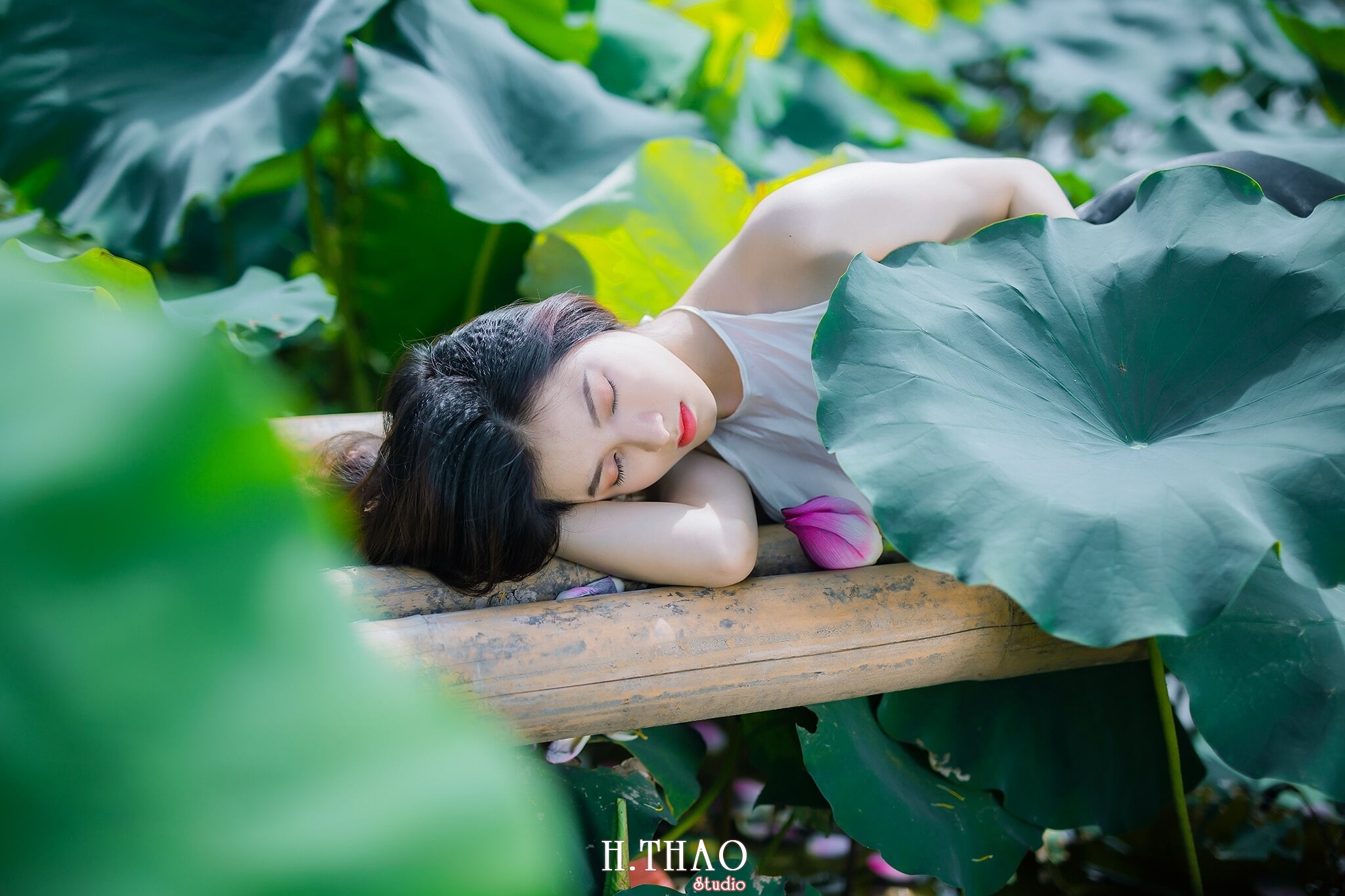 Hoa sen 6 - Tháng 6, chụp hình với hoa sen tại Tam đa quận 9 - Tp.HCM