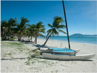 Bãi cát trắng và hàng dừa xanh