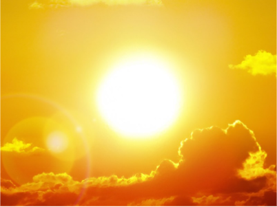 Chú ý đến ánh sáng khi chụp