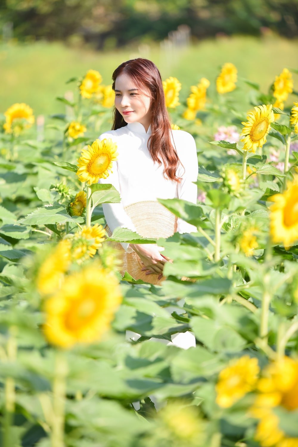 Anh ao dai dep 17 min