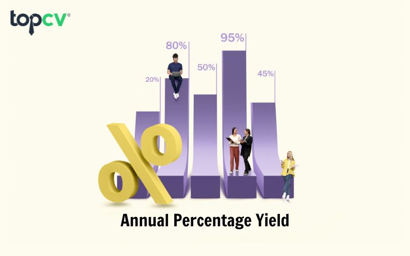 APY trong ngành ngân hàng là lãi suất phần trăm hàng năm và dùng chủ yếu các loại hình vay tín chấp, thế chấp