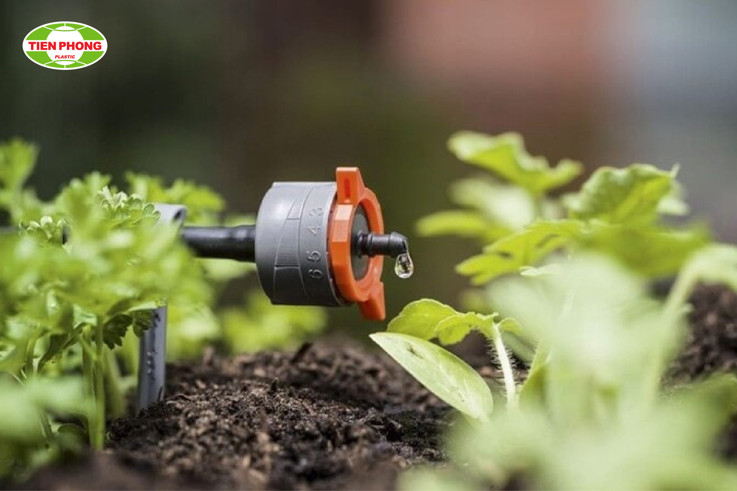 Phương pháp tưới nhỏ giọt