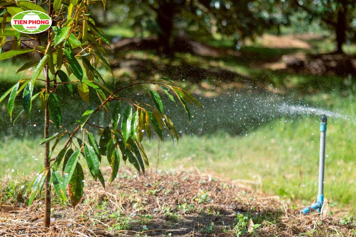 Có mấy phương pháp tưới nước? Phương pháp nào hiệu quả?