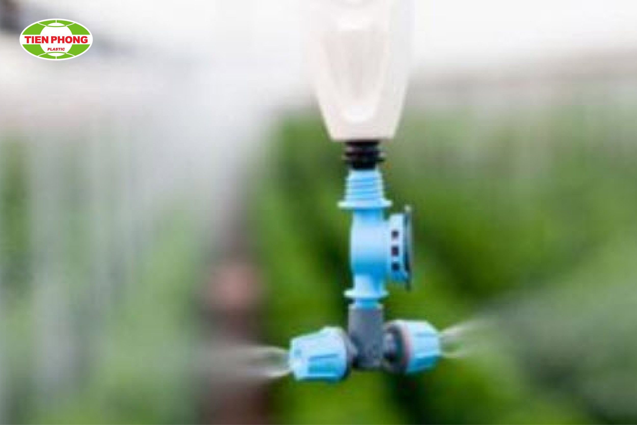 Phương pháp tưới phun sương