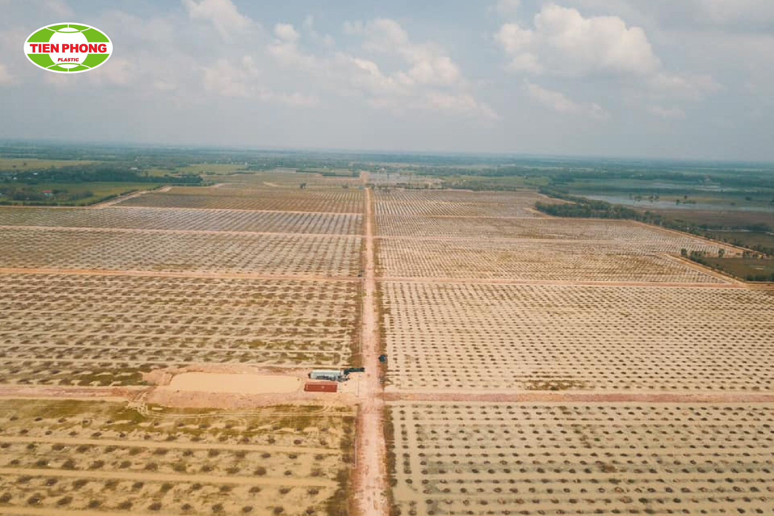 Trồng trọt diện tích lớn