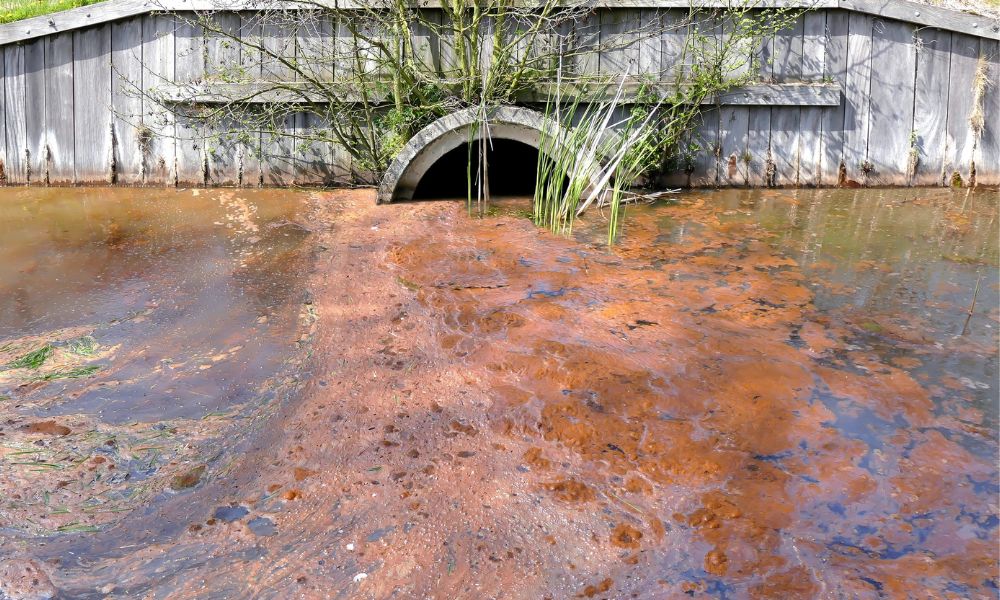 Cách sử dụng phân bón hóa học chuẩn khoa học, không lãng phí, an toàn