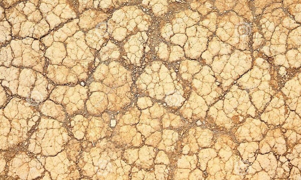 Cách sử dụng phân bón hóa học chuẩn khoa học, không lãng phí, an toàn