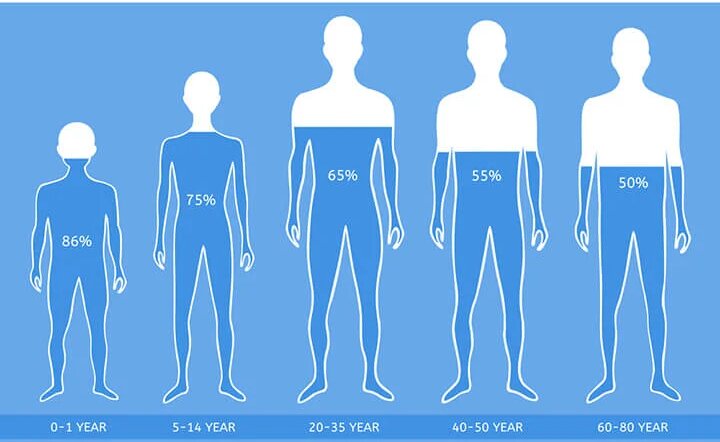 nuoc-chiem-bao-nhieu-phan-tram-trong-co-the-nguoi 2.jpg