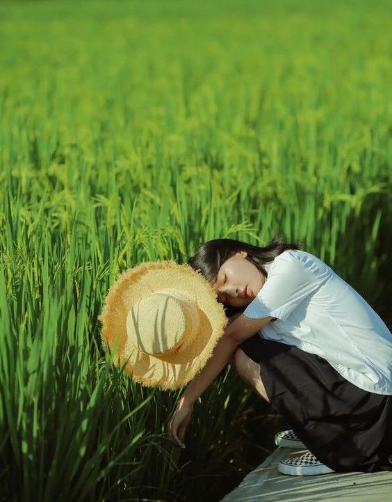 Chup-anh-canh-dong-lua-kieu-lay-tay-che-mat