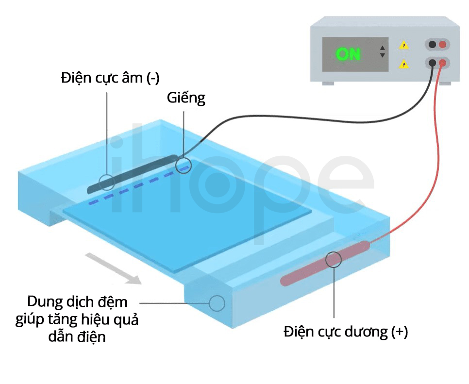 Đầu dò padlock