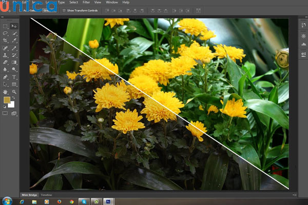 Sử dụng Photoshop để cắt ghép và biến đổi ảnh