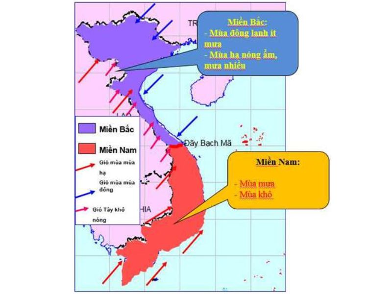 cac-loai-gio-o-viet-nam-2