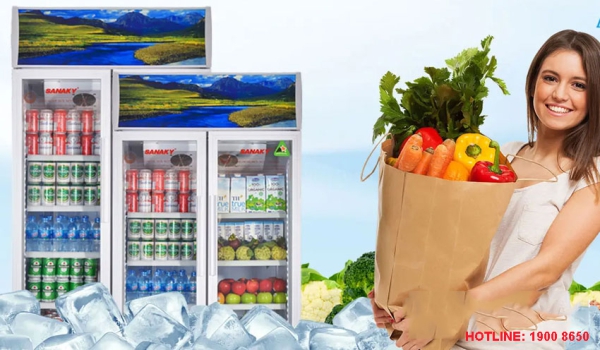 Tủ Mát Sanaky VH-6009HP có đặc điểm gì nổi bật?