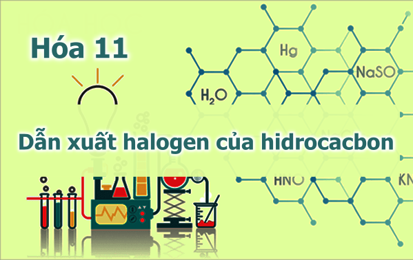 Dẫn xuất halogen của hidrocacbon – Môn Hóa lớp 11