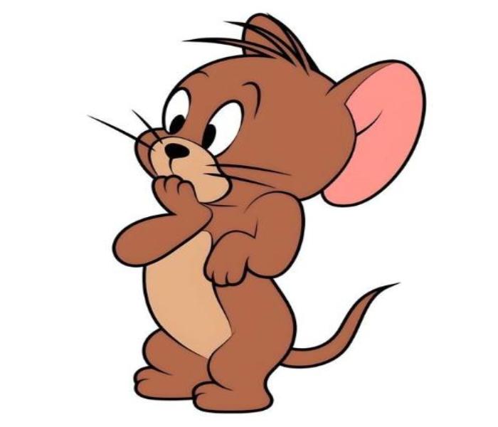 Hình ảnh con chuột Jerry đáng yêu hoạt hình
