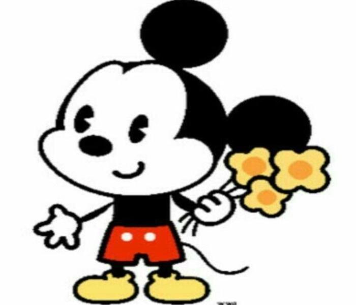 Ảnh Con Chuột – Hình Ảnh Con Chuột Cute, Đẹp Chân Thực Đáng Yêu Xỉu