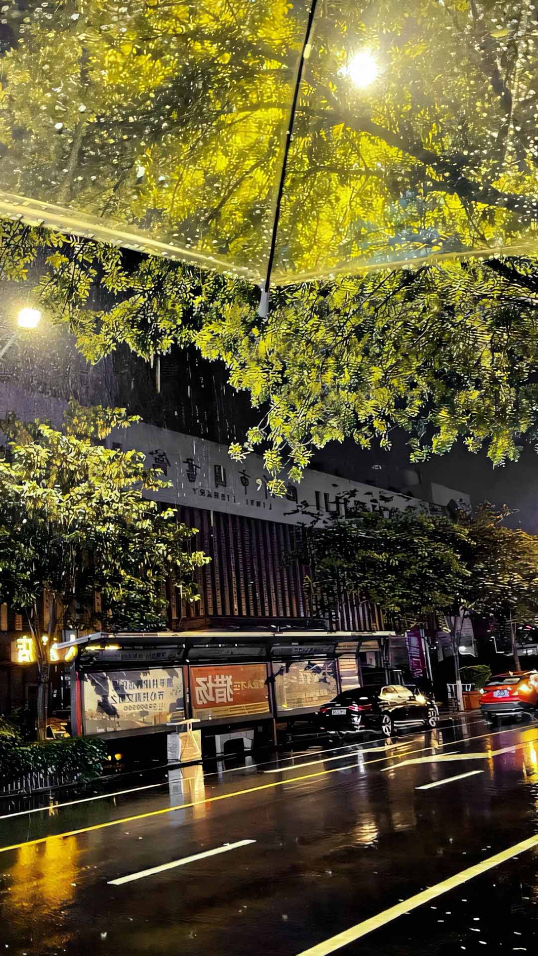 hinh anh mua dem buon 1920px 1080px full hdd 10