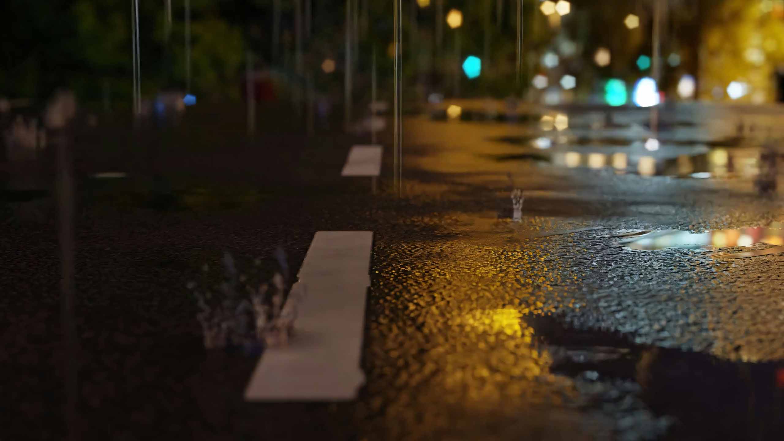 hinh anh mua dep 2560px 1440px 2k 5