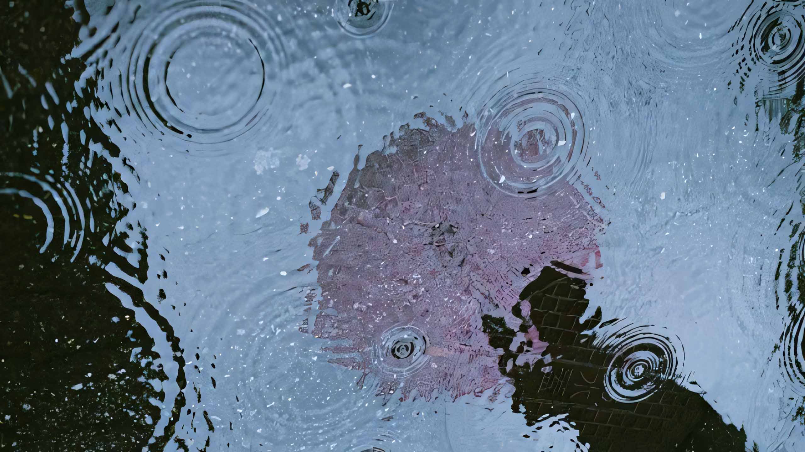 hinh anh mua buon 2560px 1440px 2kk 5