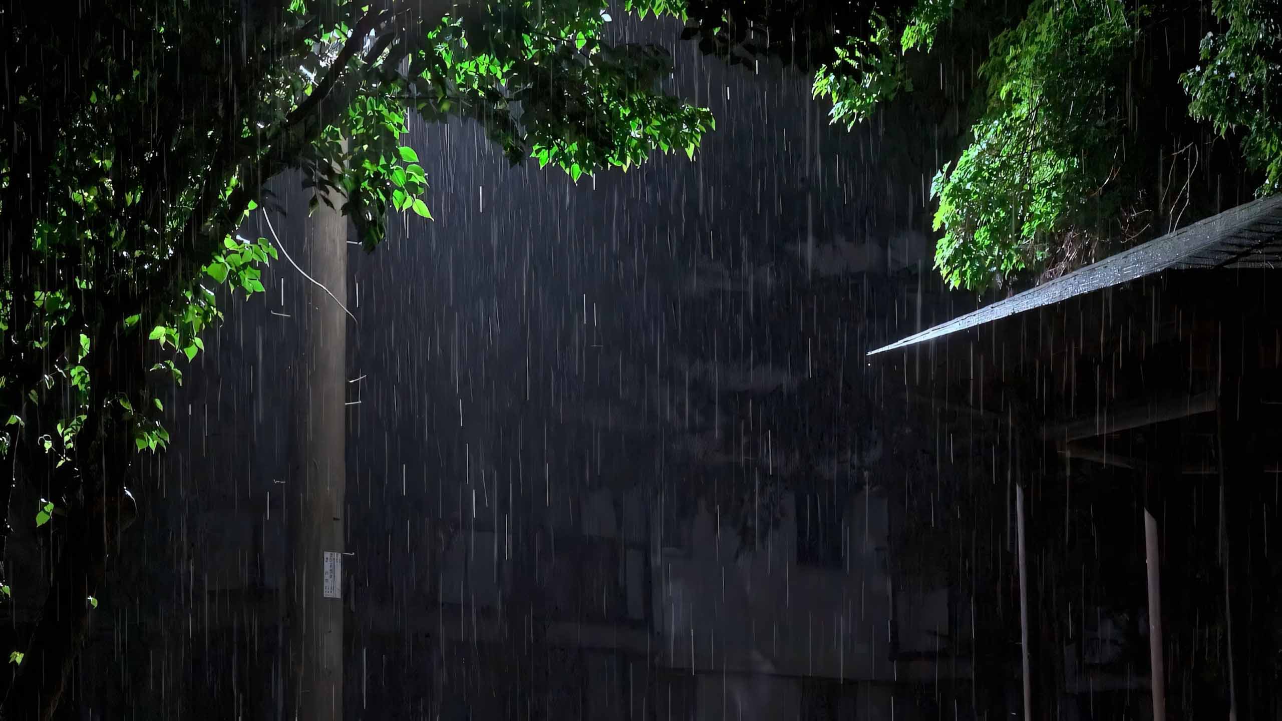 hinh anh mua buon co don 2560px 1440px 2k 1