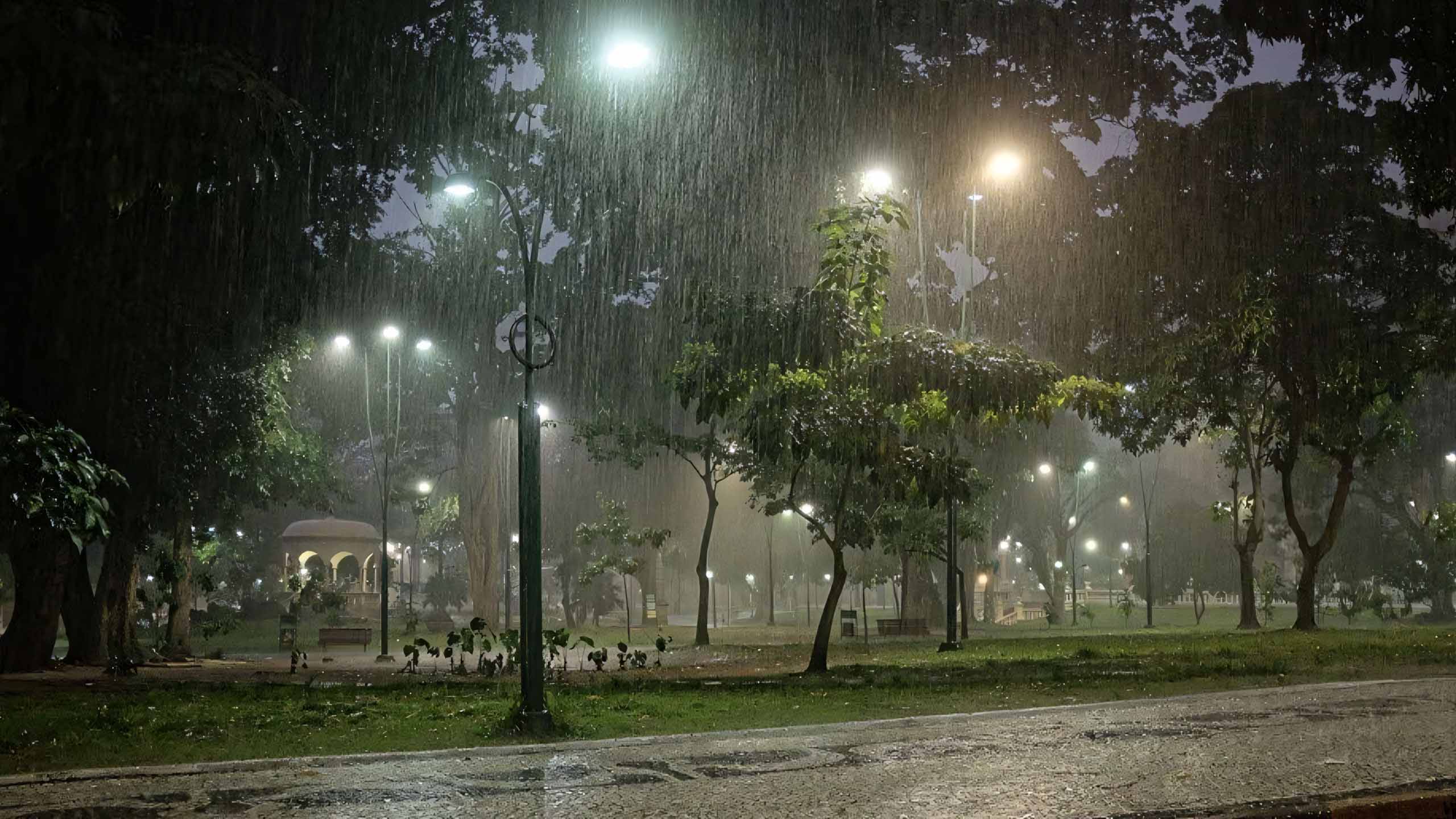 hinh anh mua buon co don 2560px 1440px 2k 6