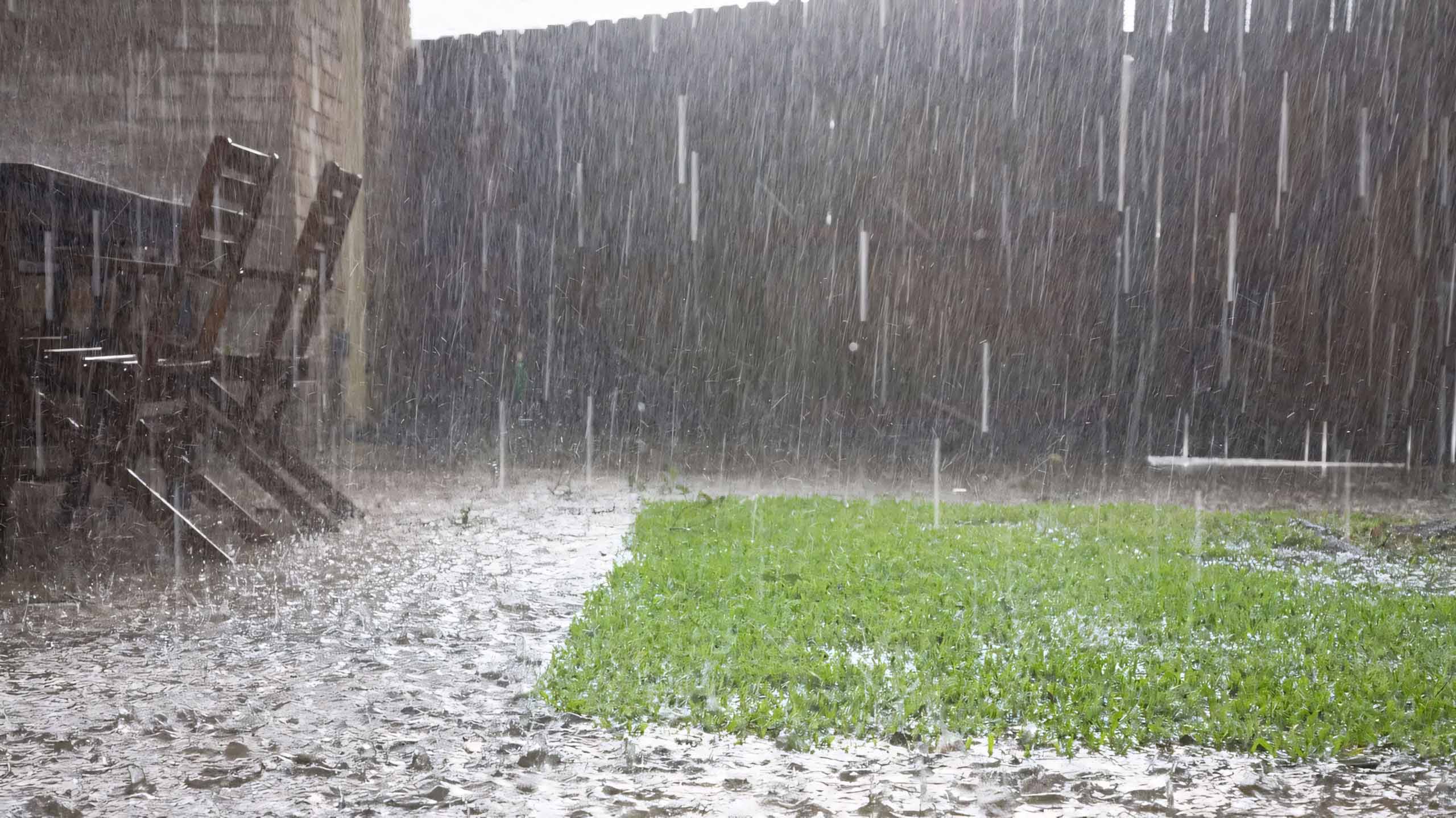 hinh anh mua buon co don 2560px 1440px 2k 14