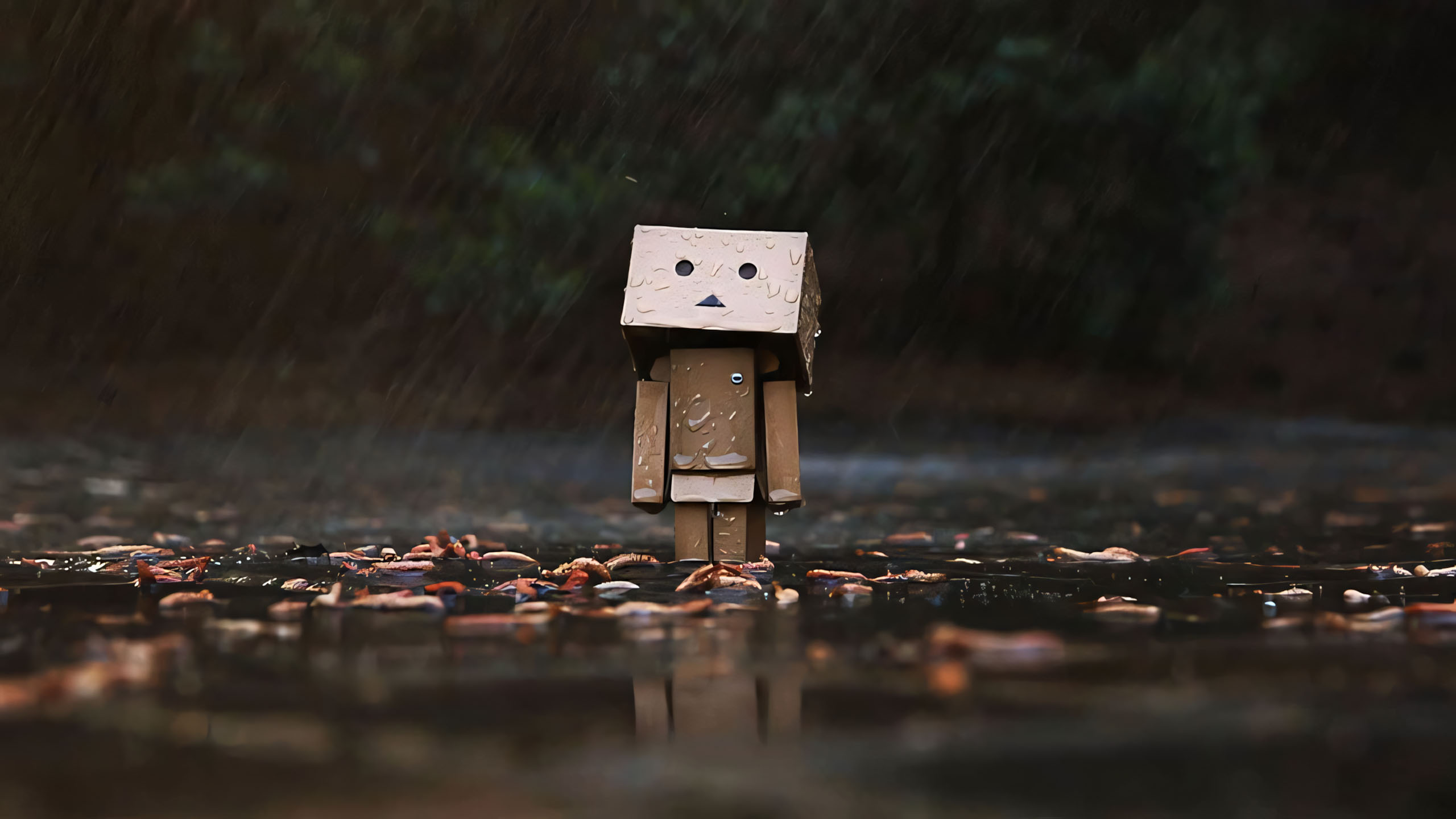 hinh anh mua buon co don 2560px 1440px 2k 16