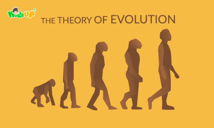 Các luận điểm then chốt trong học thuyết Darwin