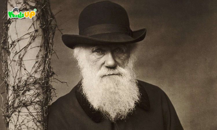 Những câu hỏi thường gặp về Charles Darwin