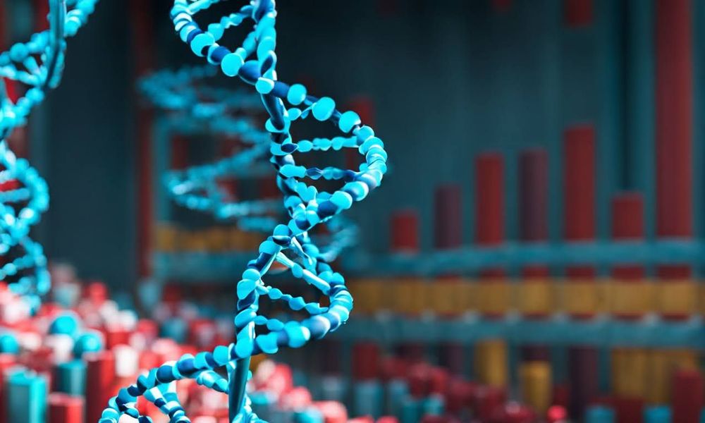 Vai trò của đột biến gen là vô cùng quan trọng trong quá trình tiến hoá sinh vật.