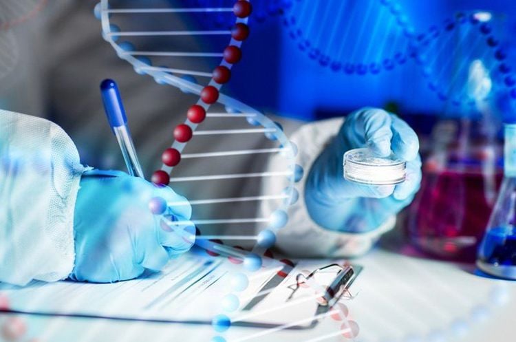 Cơ chế phát sinh đột biến gen là do bắt cặp không đúng trong nhân đôi DNA.