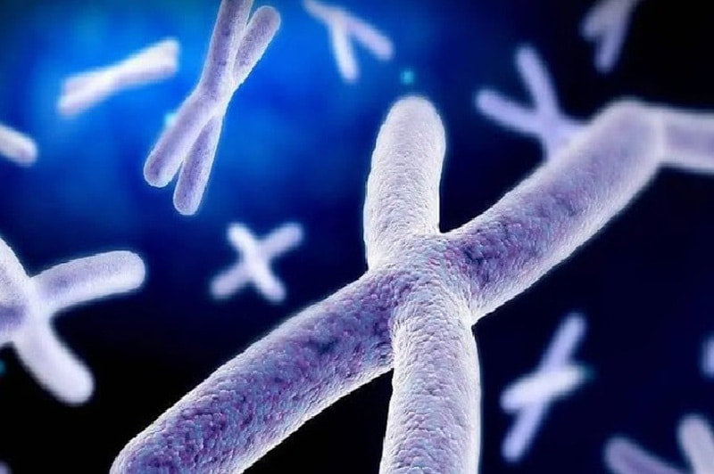 đột biến gen xảy ra vào thời điểm nào