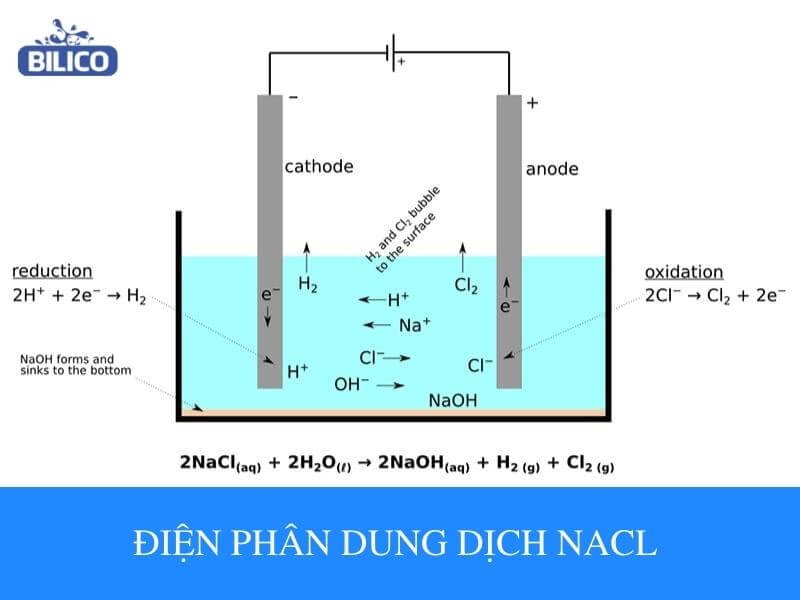 Điện phân dung dịch NaCl - Ứng dụng trong xử lý nước bể bơi