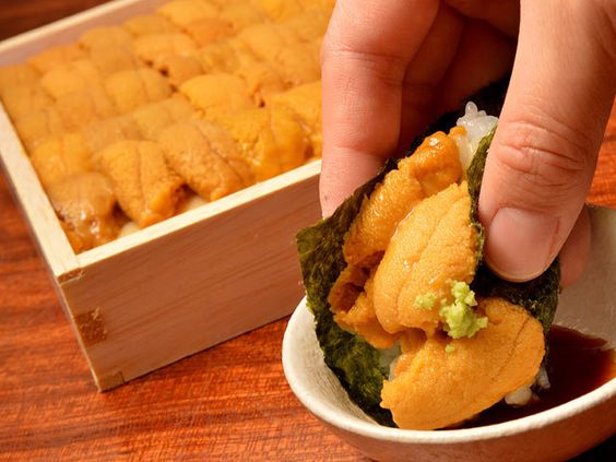 5 lợi ích sức khỏe từ Cầu gai Nhật (Uni)