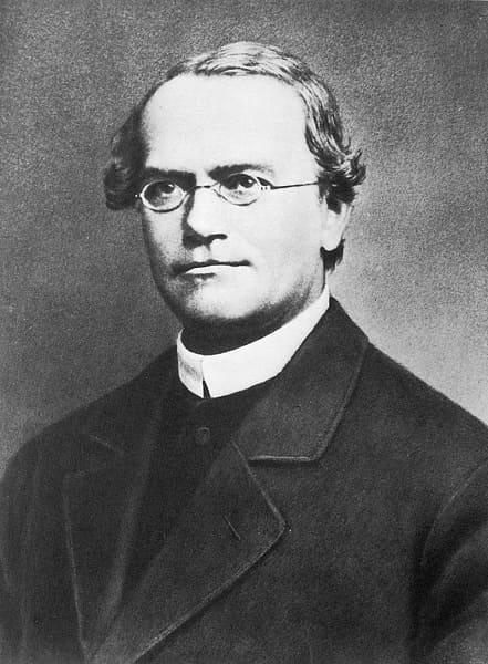 Nhà thực vật học Gregor Mendel (1822-1884)