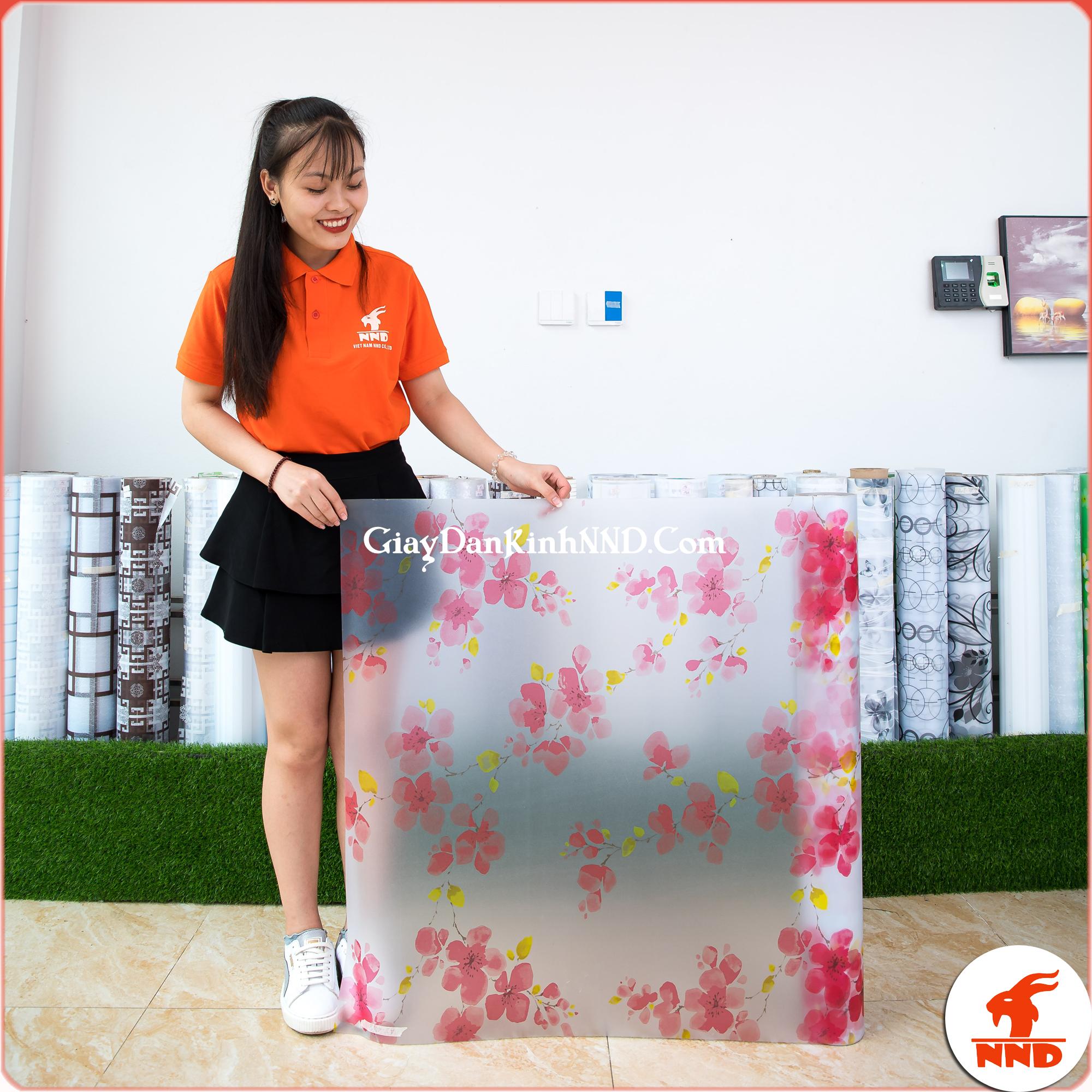 giấy bóng dán kính trang trí được dán để làm đẹp và che tầm nhìn cho tấm kính