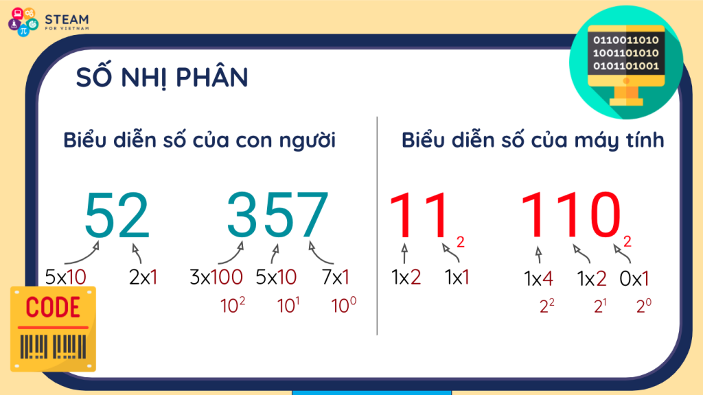 Biểu diễn biến số (variable)