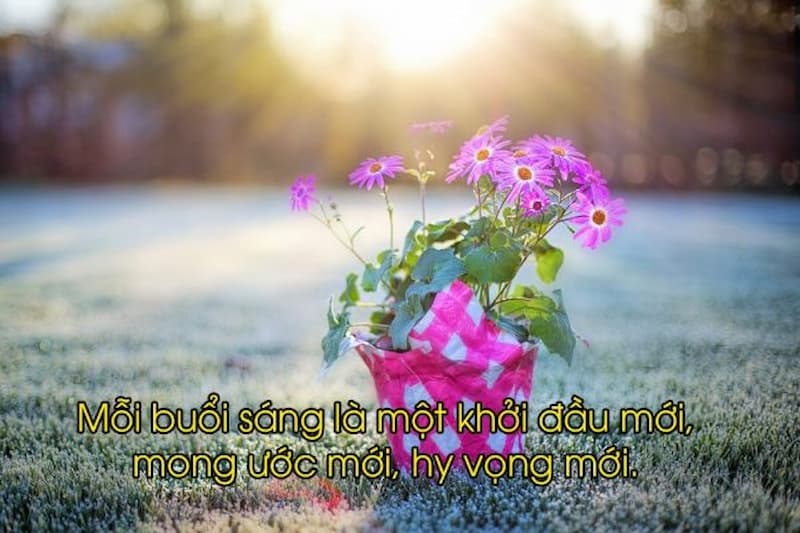 hinh-anh-chuc-ngay-moi-cho-nguoi-yeu-25