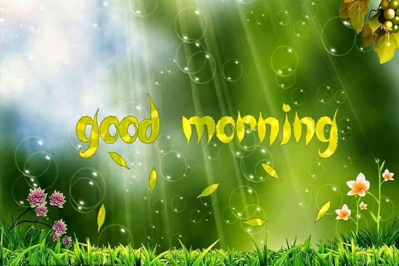 hinh-anh-chuc-ngay-moi-cho-nguoi-yeu-51