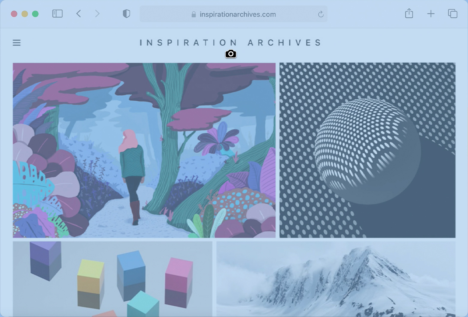 Cửa sổ Safari hiển thị biểu tượng camera trước khi chụp cửa sổ