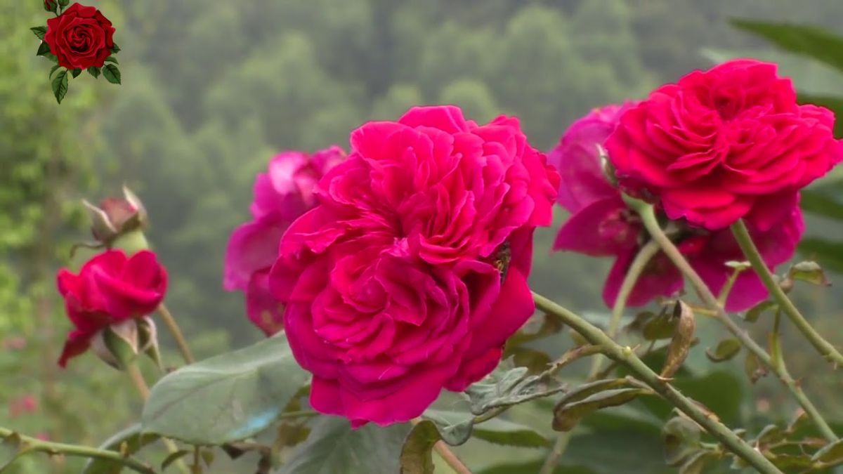 Những địa điểm chụp ảnh đẹp ở Hà Tĩnh