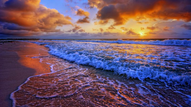 Bức hình, Hình ảnh và Bức ảnh sẵn có về bãi biển