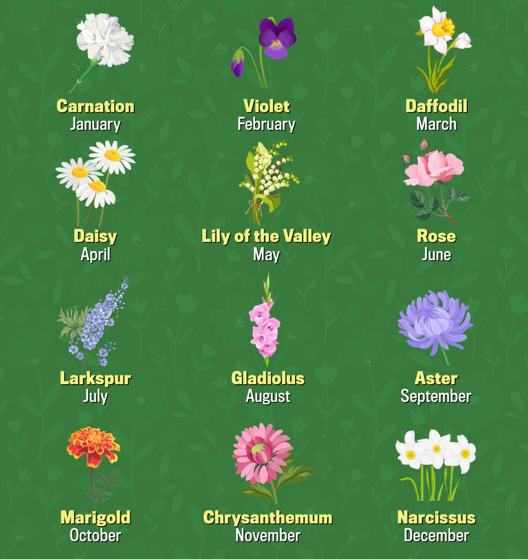 Ảnh hoa sinh nhật đẹp, ấm áp tình thân phù hợp để gửi tặng người thân nhân dịp sinh nhật của họ.